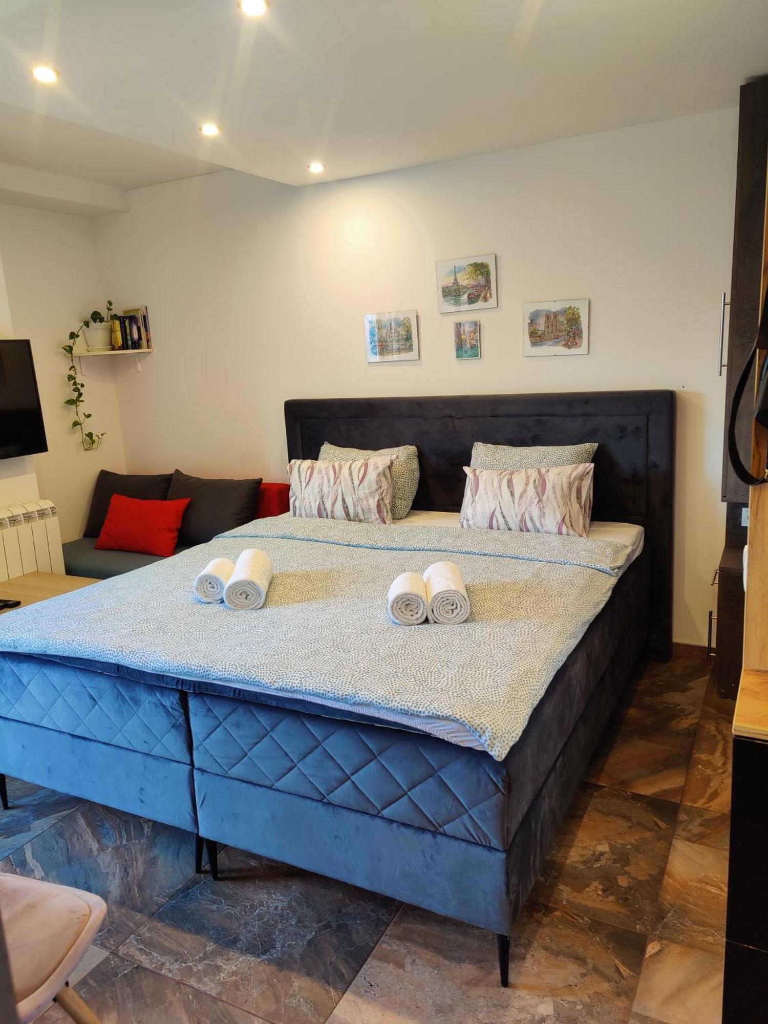 Kala Apartment Novi Sad Bagian luar foto